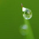 small world